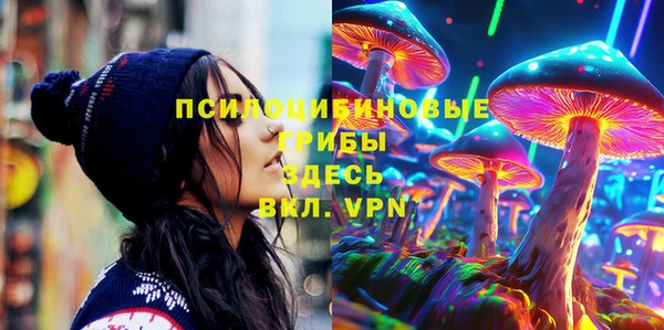 прущие грибы Алзамай