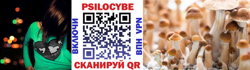 Псилоцибиновые грибы мицелий  закладки  Клин 