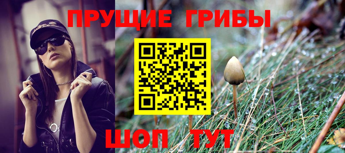Псилоцибиновые грибы мицелий Клин