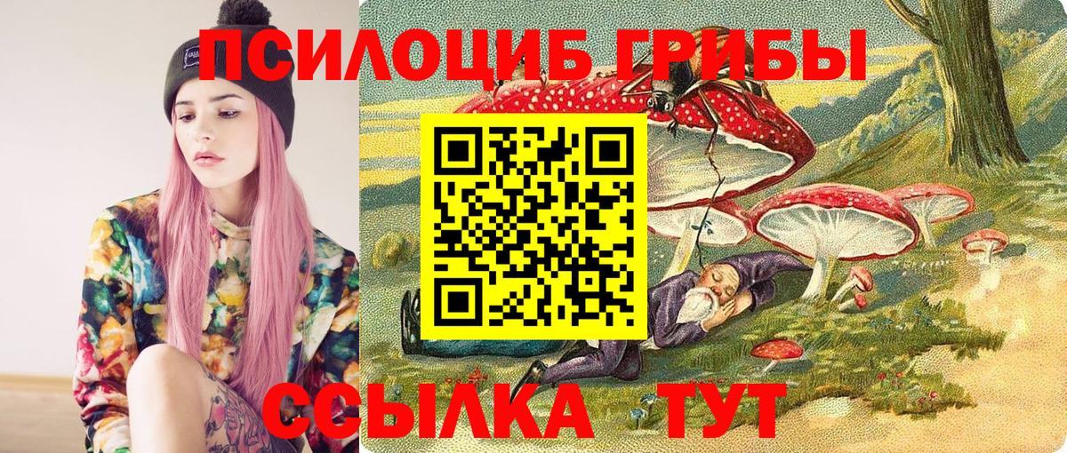 Клин  Псилоцибиновые грибы Cubensis  Вход с VPN 