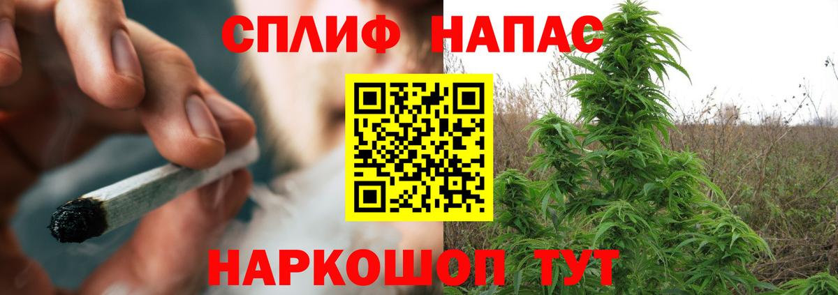 Клин  Каннабис тримм  Вход с VPN  Марихуана индика  Конопля семена 